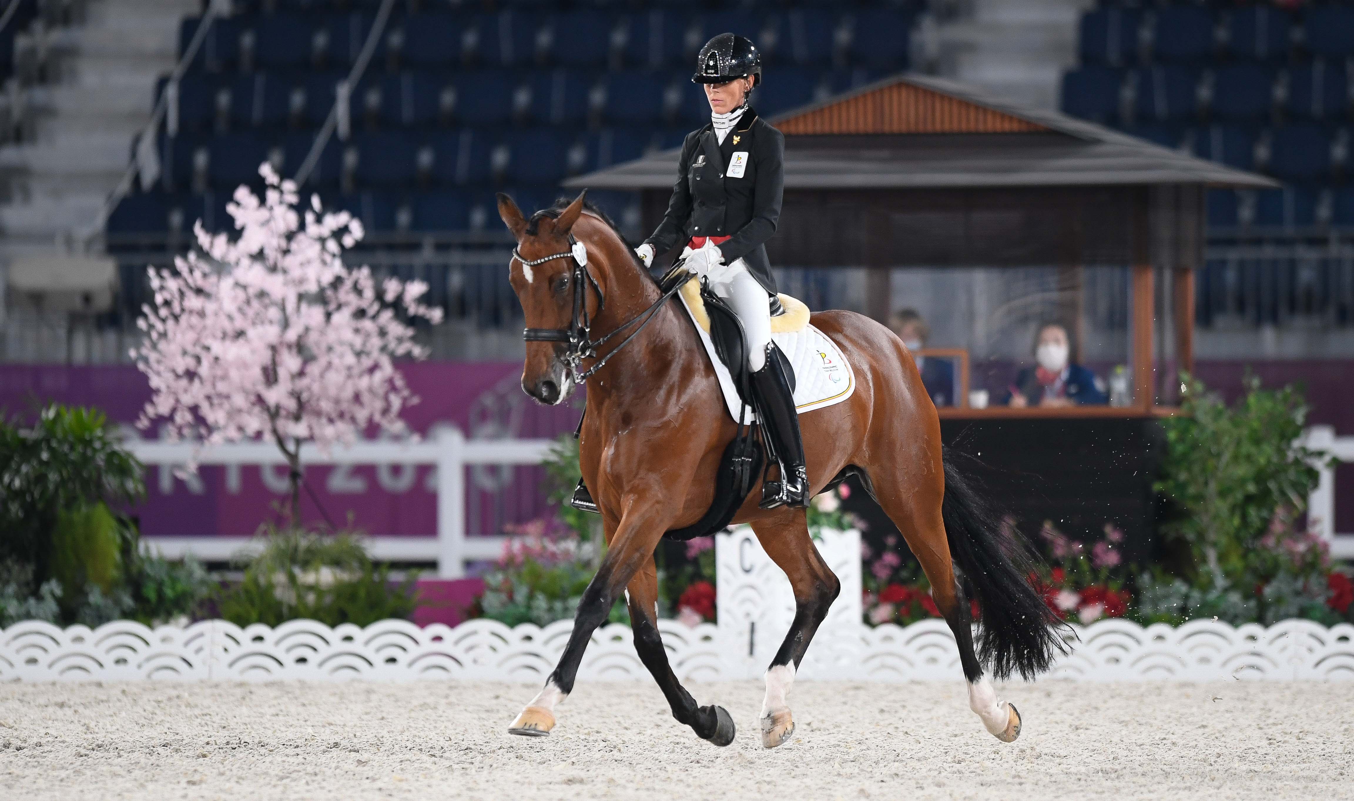 Objectif Paris 2024 pour l’équipe de Para Dressage Paralympic Team